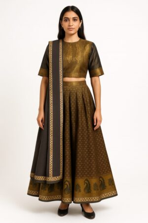 Custom Designer Pleated Banarasi Lehenga with Embellished Border by Radhika Rajpurohit