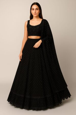 Elegant Custom Designer Saree cum Lehenga – Embellished Grace by Radhika Rajpurohit